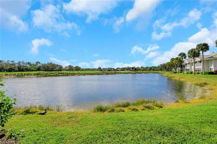 Water view