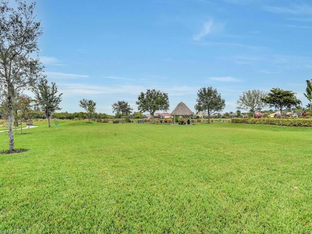Calypso Park Community Area