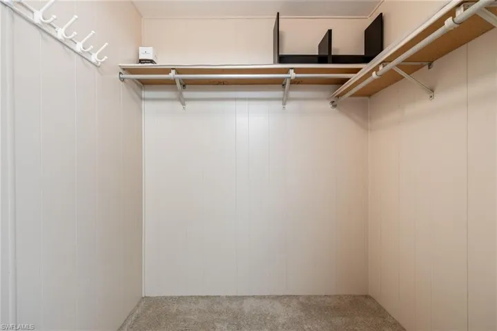 Spacious closet with carpet flooring