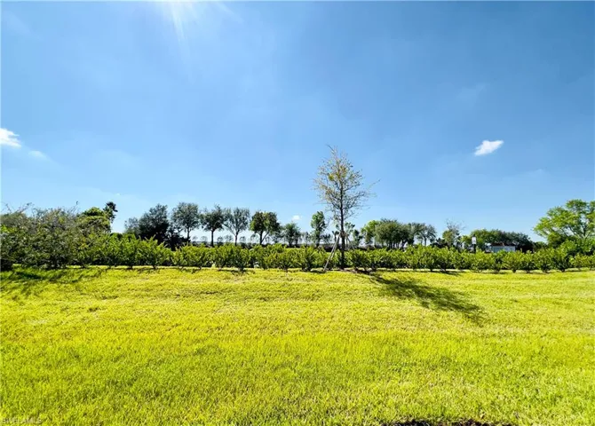 14297  Oviedo Place  , Fort Myers, FL 33905