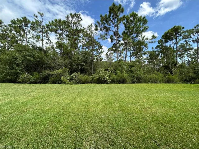 View of grassy yard