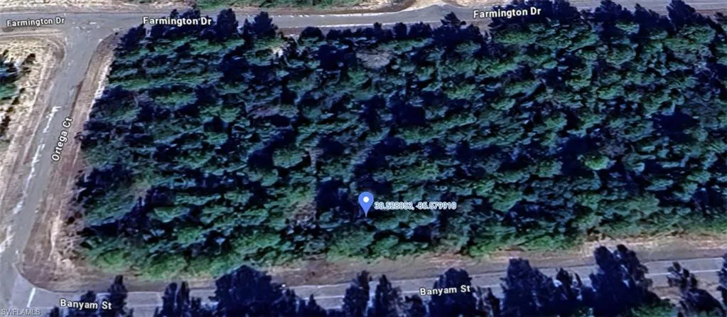 Wooded lot featuring mature trees and street frontage on Farmington Drive, Ortega Court, and Banyan Street