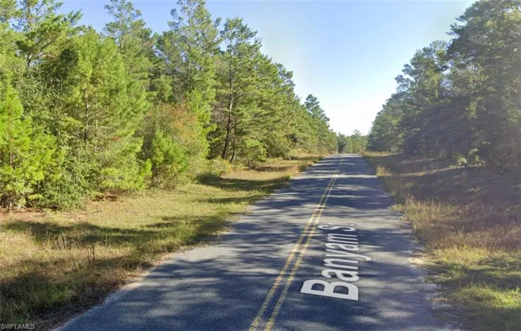Paved road frontage with mature pine trees and natural vegetation