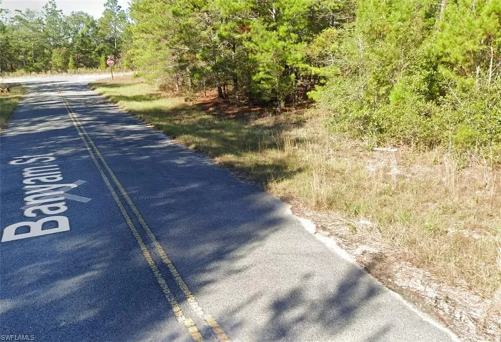 Roadside parcel featuring diverse natural vegetation and mature trees