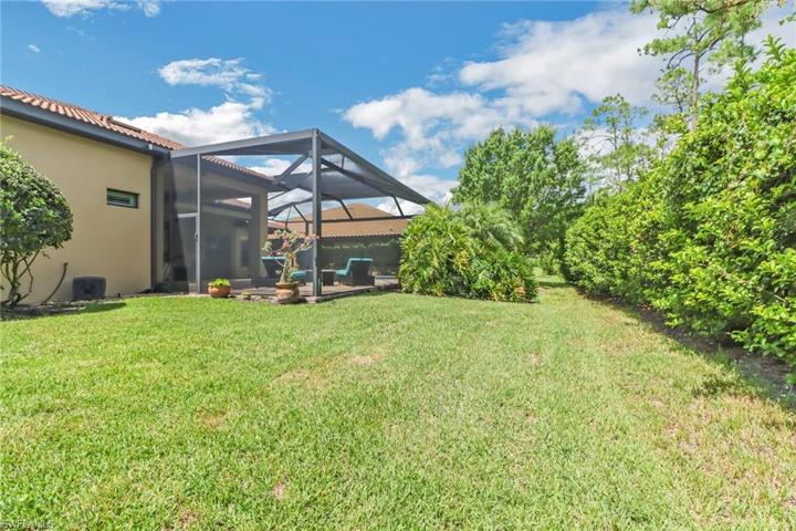 Rear Yard