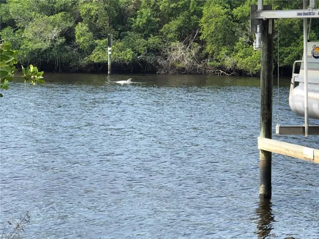 Enjoy peaceful river views with frequent dolphin and wildlife sightings