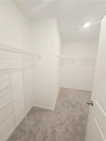 master Walk in closet with carpet flooring