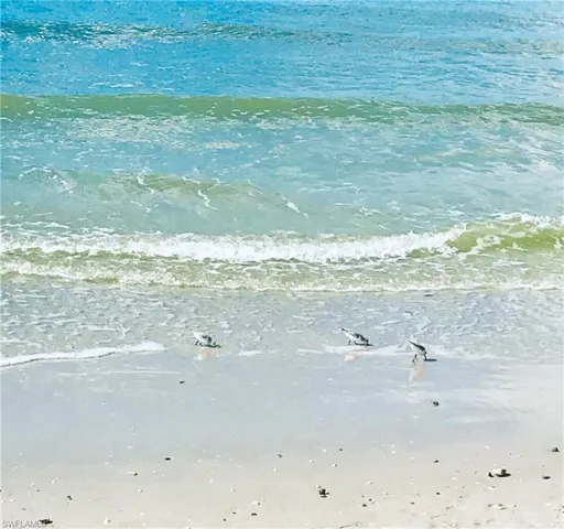 Another Naples Beach