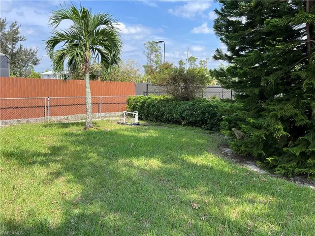View of completely yard with Evergreen tree