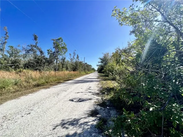 View of dirt / gravel road
