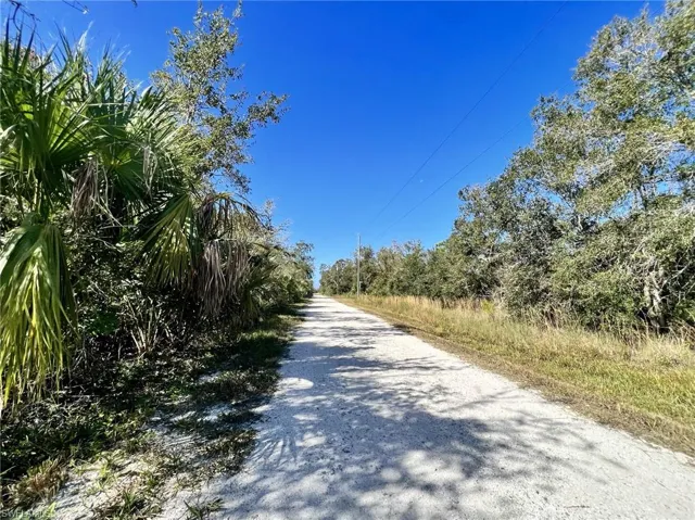 View of dirt / gravel road