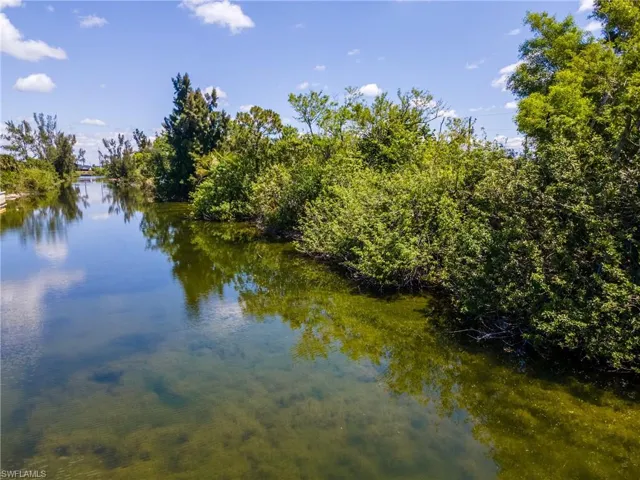 Water view featuring a forest