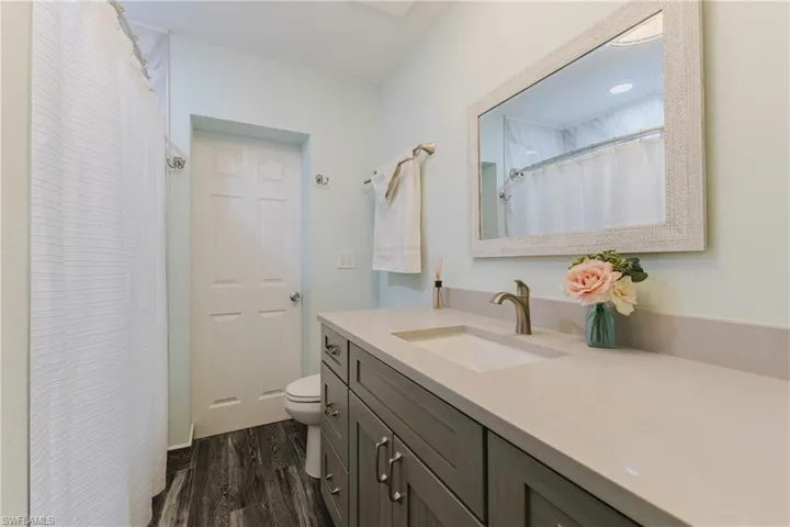 Bathroom with toilet, wood finished floors, vanity, and curtained shower