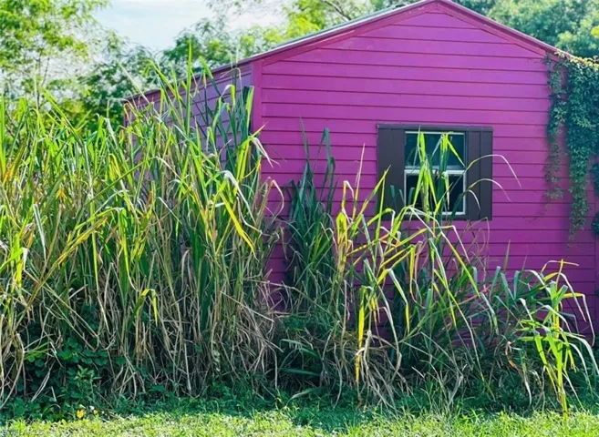 455 Trader Rd, Fort Denaud, Florida 33935