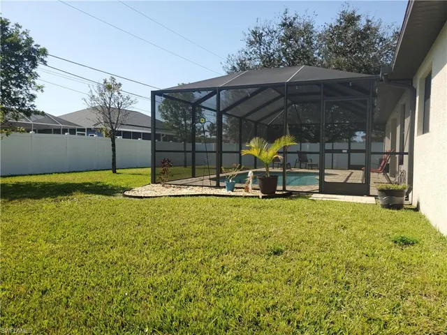 Back yard