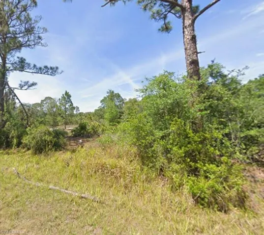 View of undeveloped land