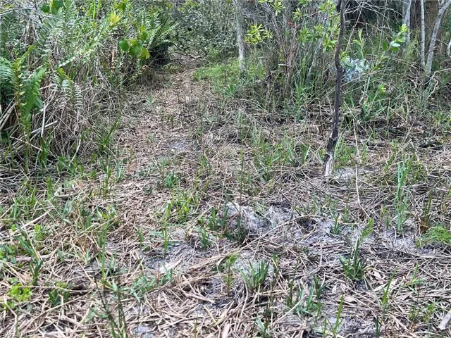 View of nature