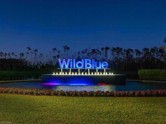 WildBlue Entrance Sign