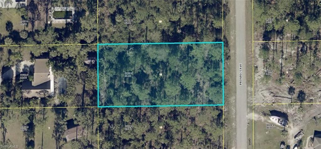 913 Prospect AVE, LEHIGH ACRES FL 33972