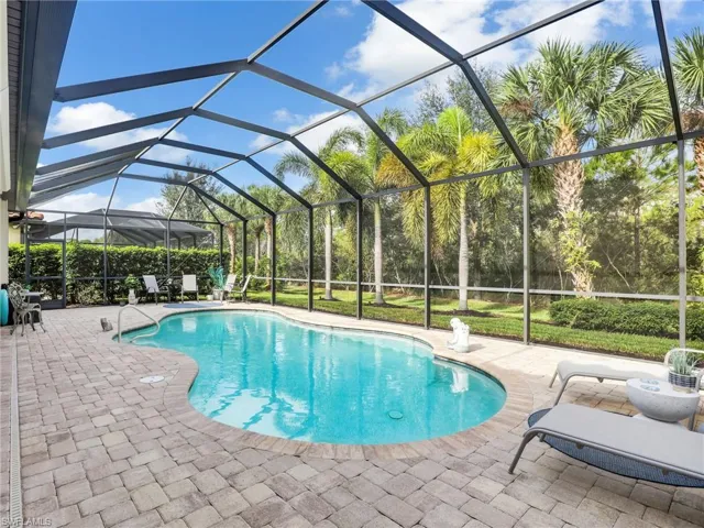 Custom Pool & Cage
