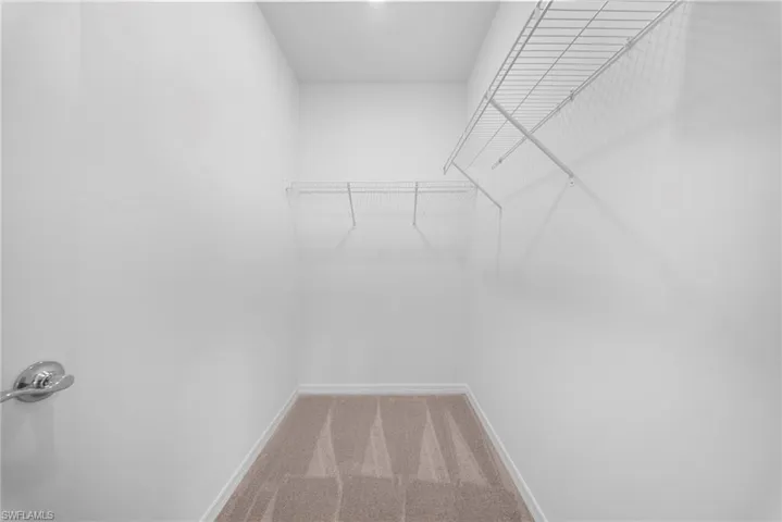 Walk in closet with light colored carpet