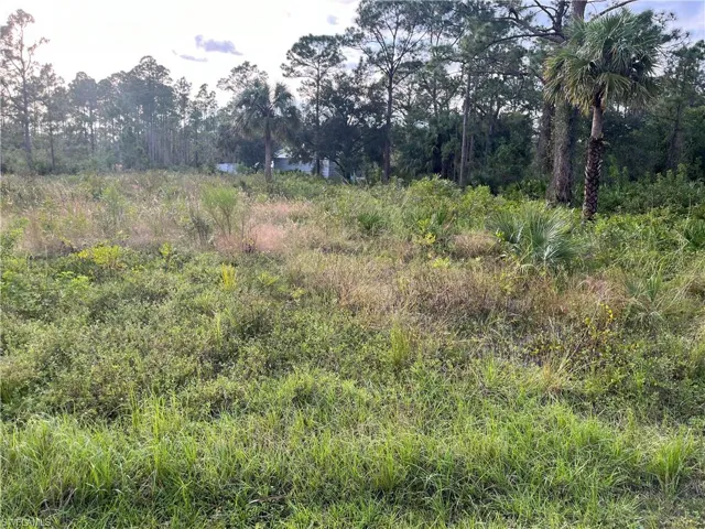 View from road looking west.