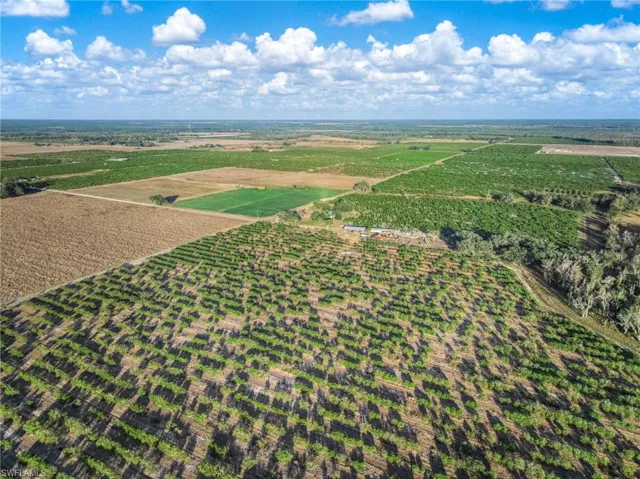 Aerial view of sparsely populated area with rows of crops