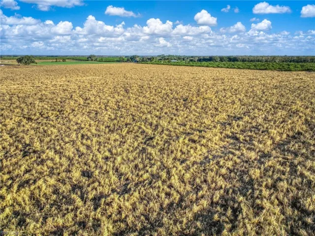 Overview of rural landscape featuring farmland
