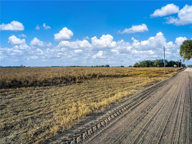 View of dirt / gravel road featuring a rural view and agricultural plots