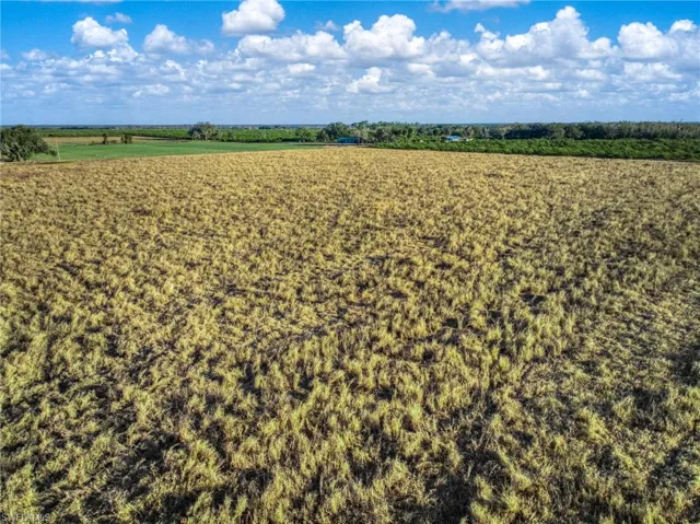 View of rural area featuring large plots for crops