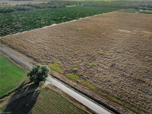 View of rural area featuring rows of crops