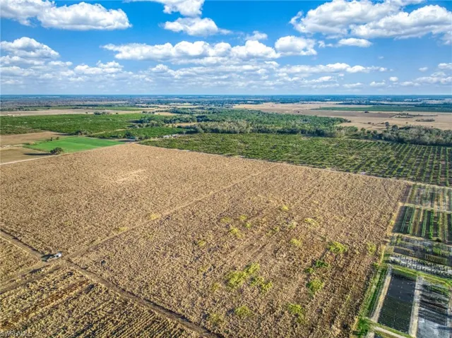 Overview of rural landscape with abundant farmland