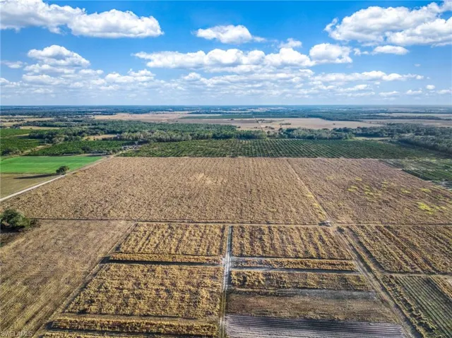 Overview of rural landscape with large plots for crops
