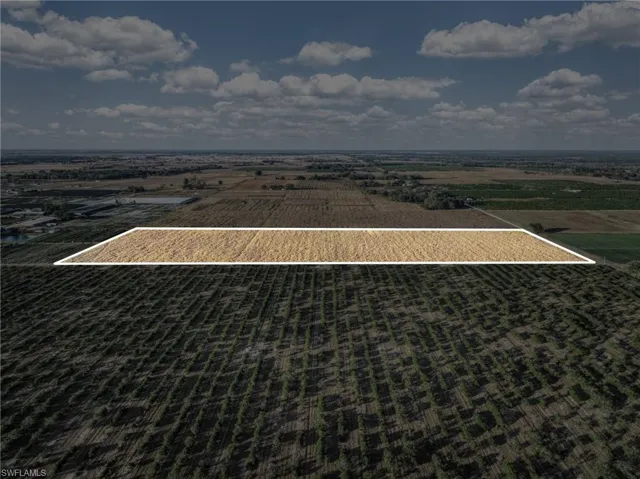View of rural area with large plots for crops