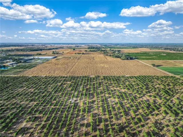 View of rural area with large plots for crops