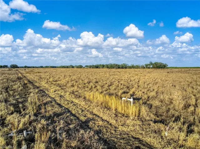 View of local wilderness featuring rural landscape and large plots for crops
