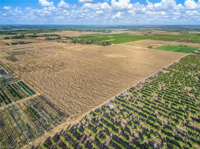 View of rural area with rows of crops