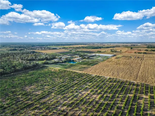 View of rural area with rows of crops
