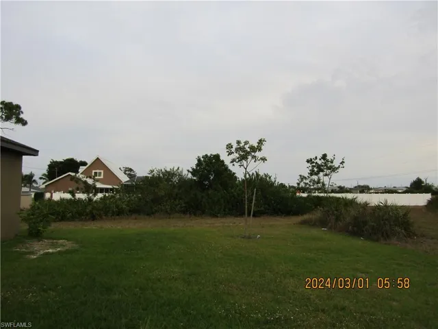 Left side of the house