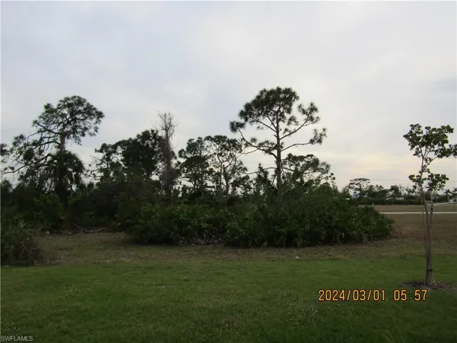 View from the lanai