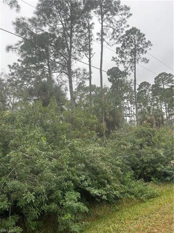 16th AVE NE, NAPLES FL 34120