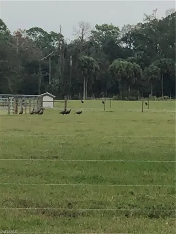 View of yard with a rural view