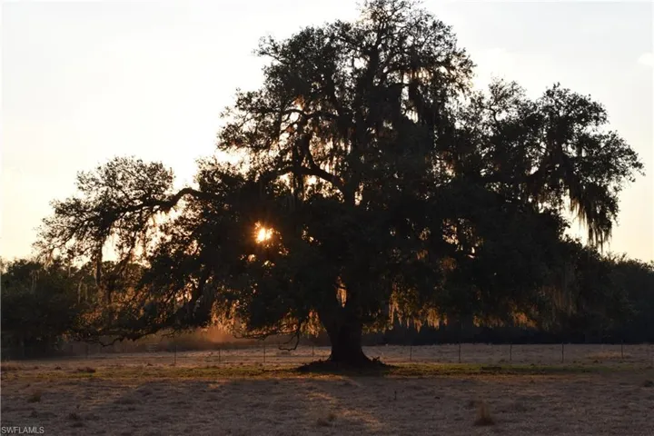 View of nature