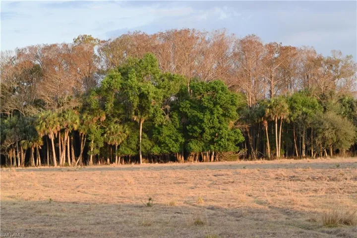 View of nature