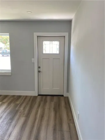 Foyer entrance featuring dark wood-type flooring and plenty of natural light