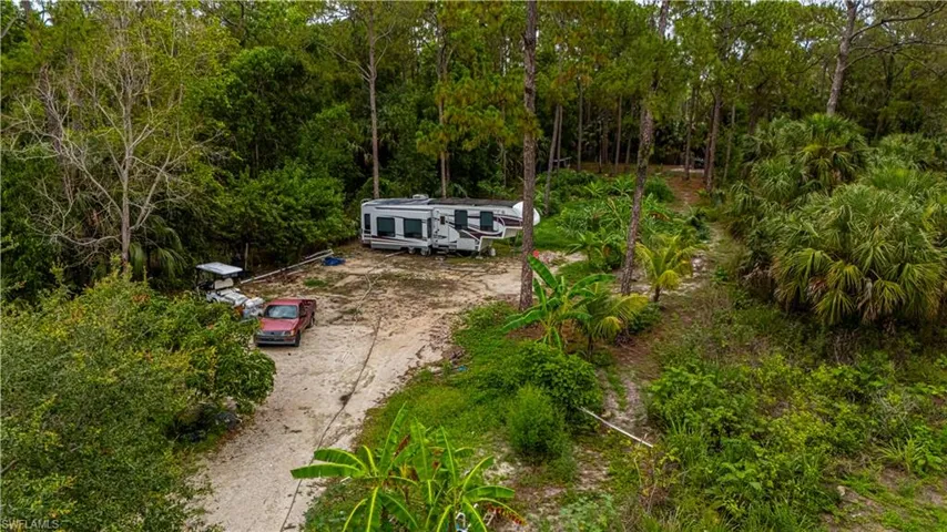 Drone / aerial view of a forest