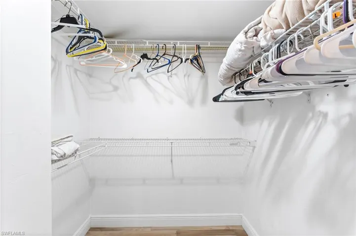 Spacious walk-in closet in primary suite featuring light wood finished floors