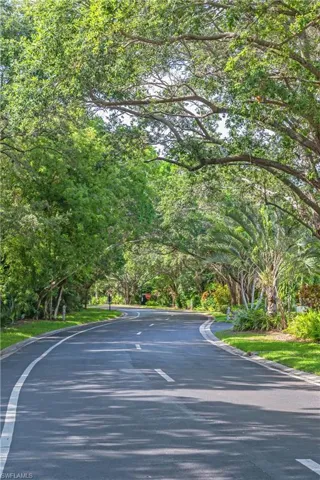 Bay Forest's tree-lined drives and natural areas welcome you home.