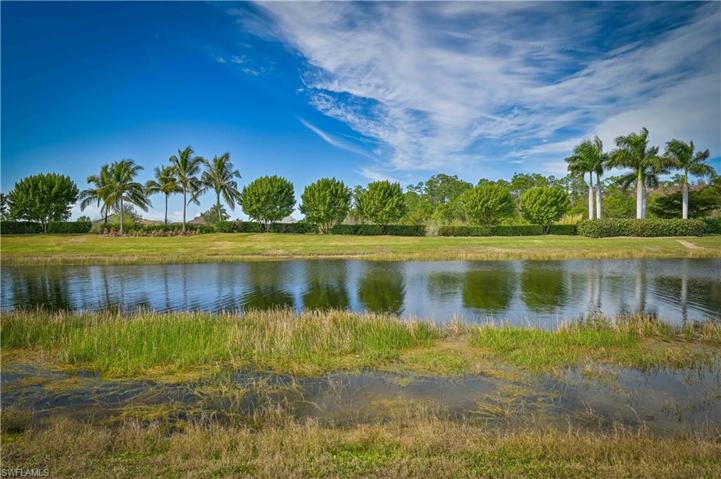 Backyard View - Privacy - Privacy - Privacy
