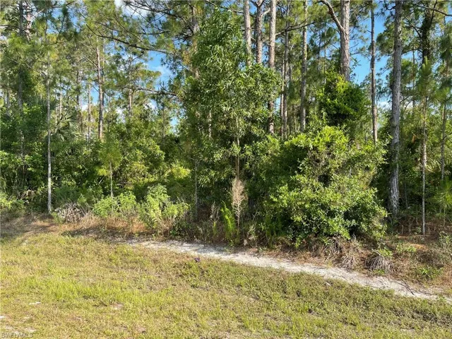 0 29th Ave Everglades Blvd, Naples, Florida 34120